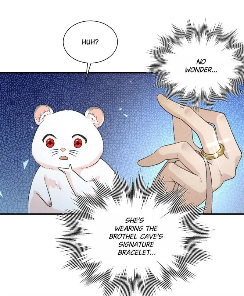 Image page 29