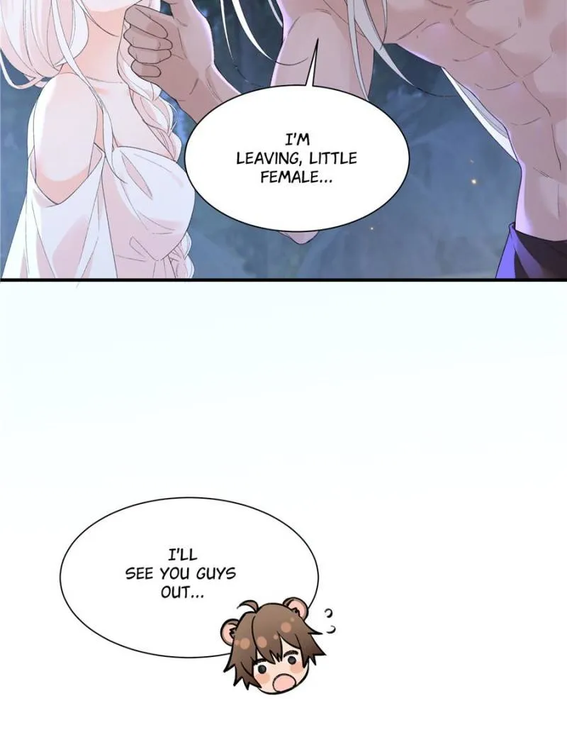 Image page 11