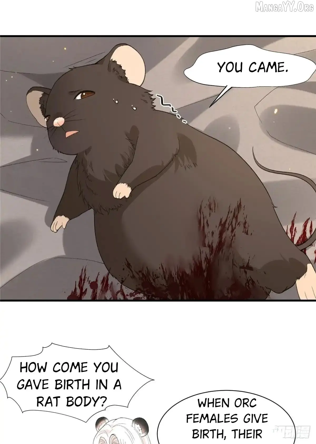 Image page 10