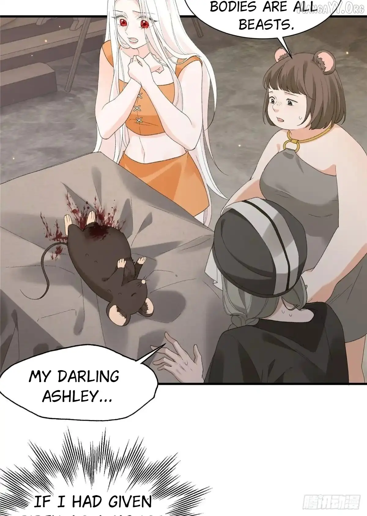 Image page 11