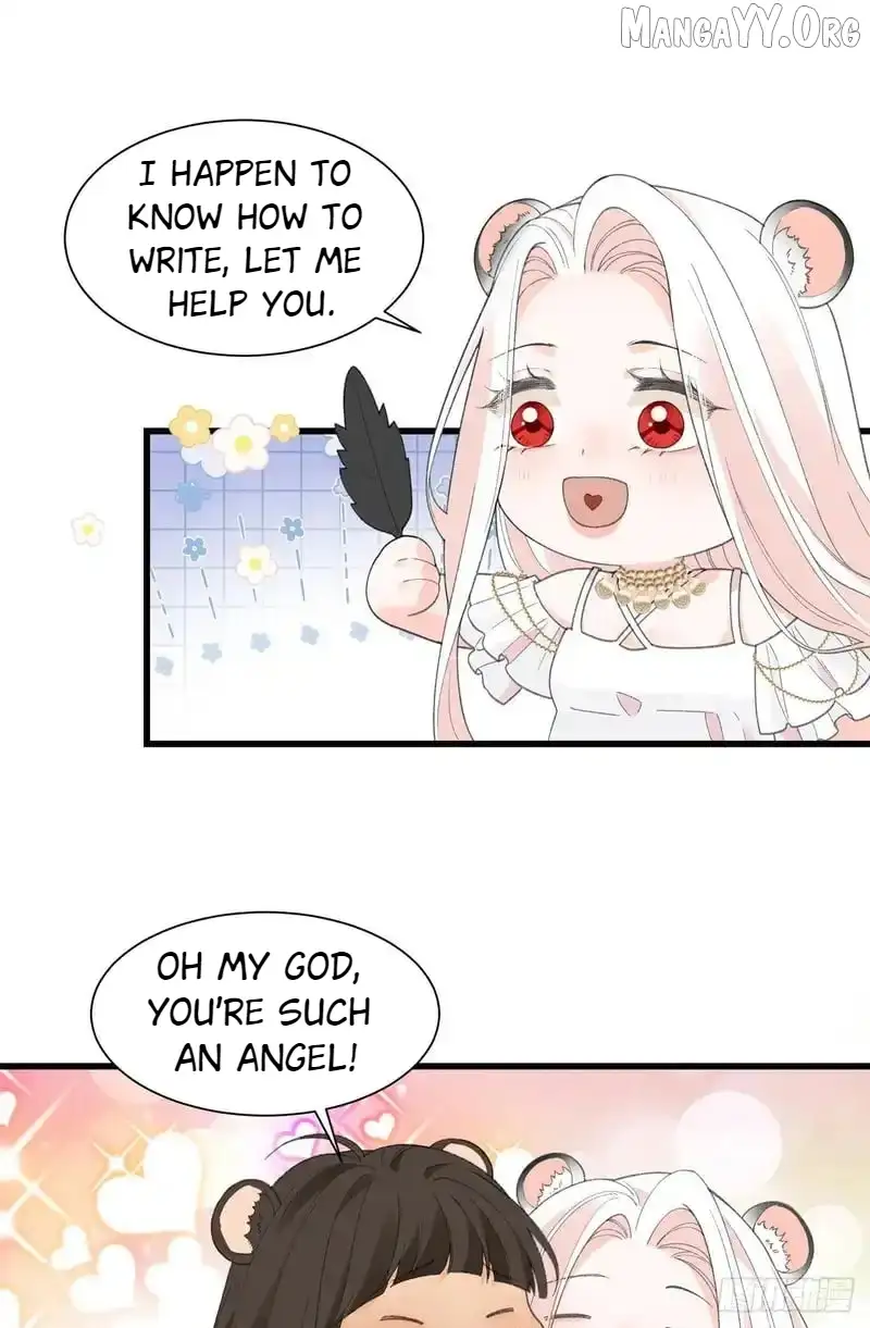 Image page 12