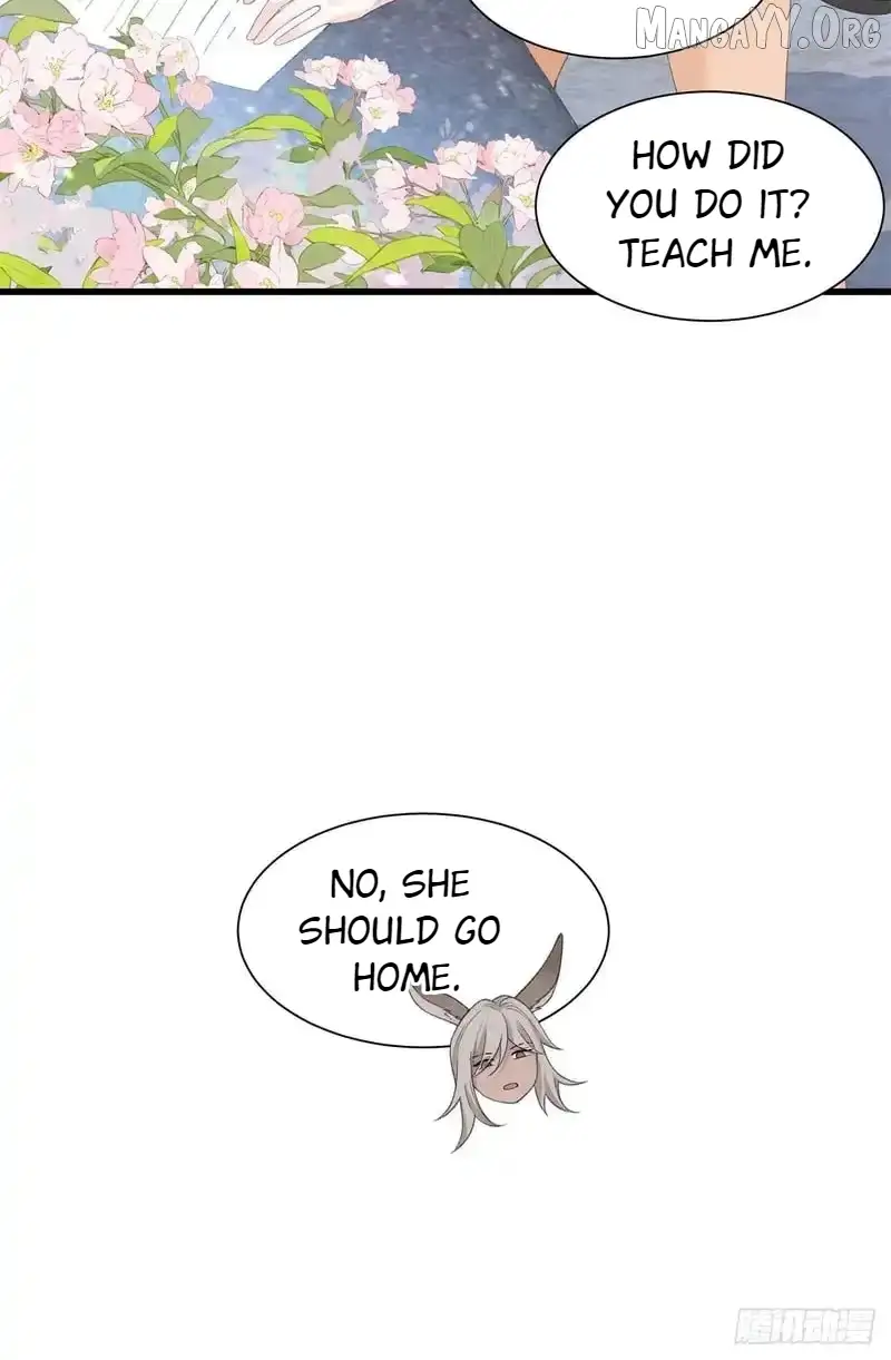 Image page 16