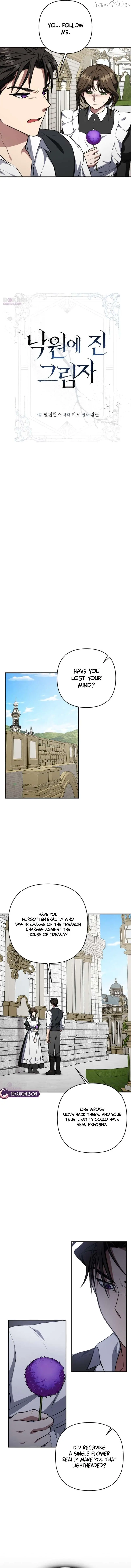 Image page 4