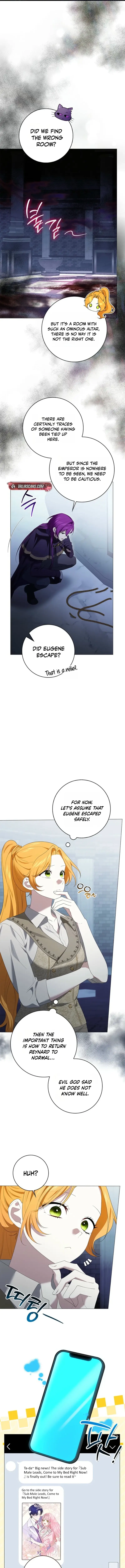 Image page 13