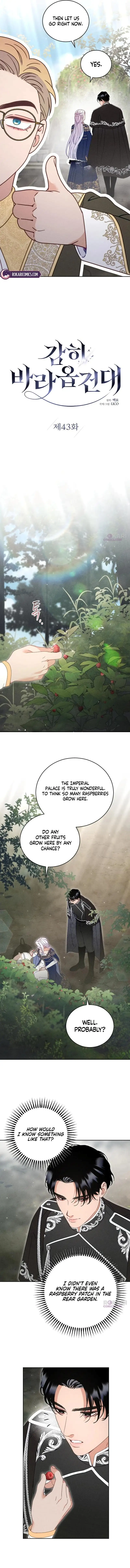 Image page 3