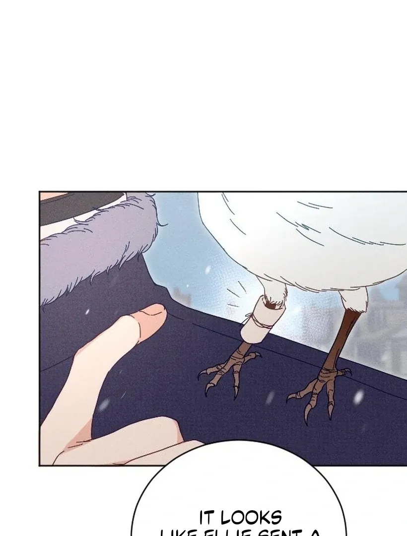 Image page 101