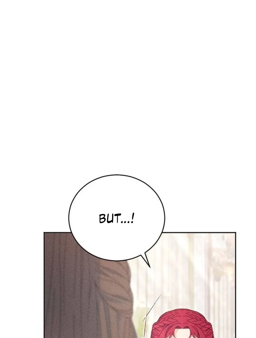 Image page 31