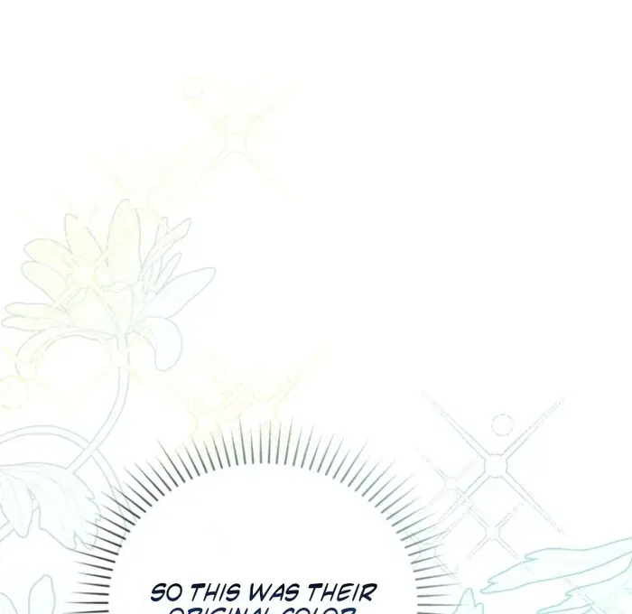 Image page 17