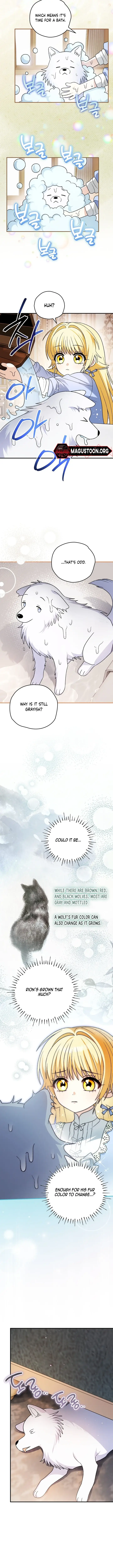 Image page 8