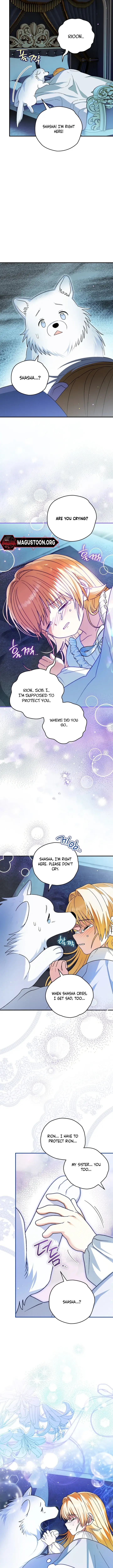Image page 12