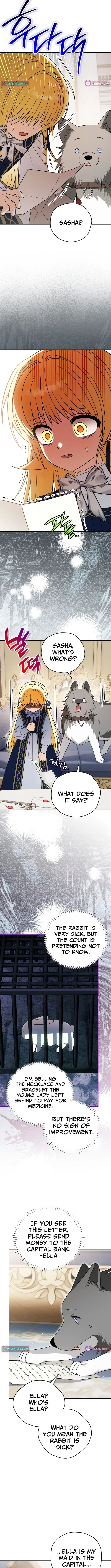 Image page 11