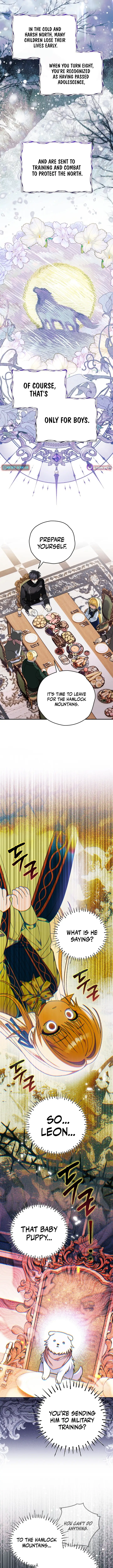 Image page 7