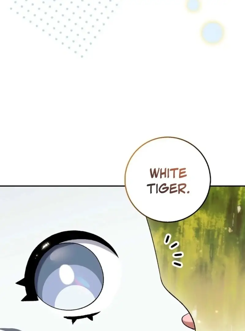 Image page 10