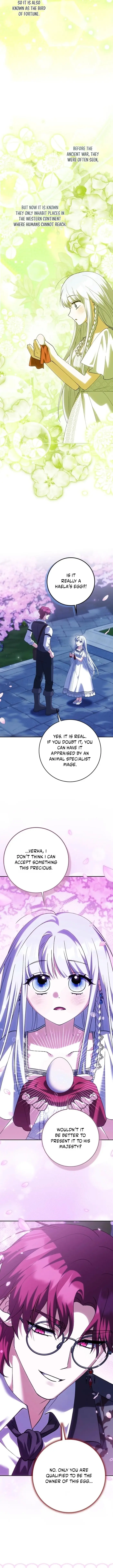 Image page 7