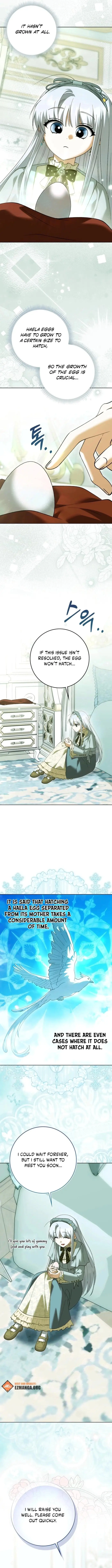 Image page 8