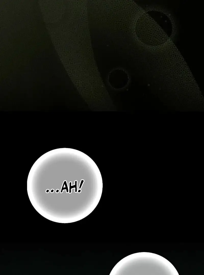 Image page 104
