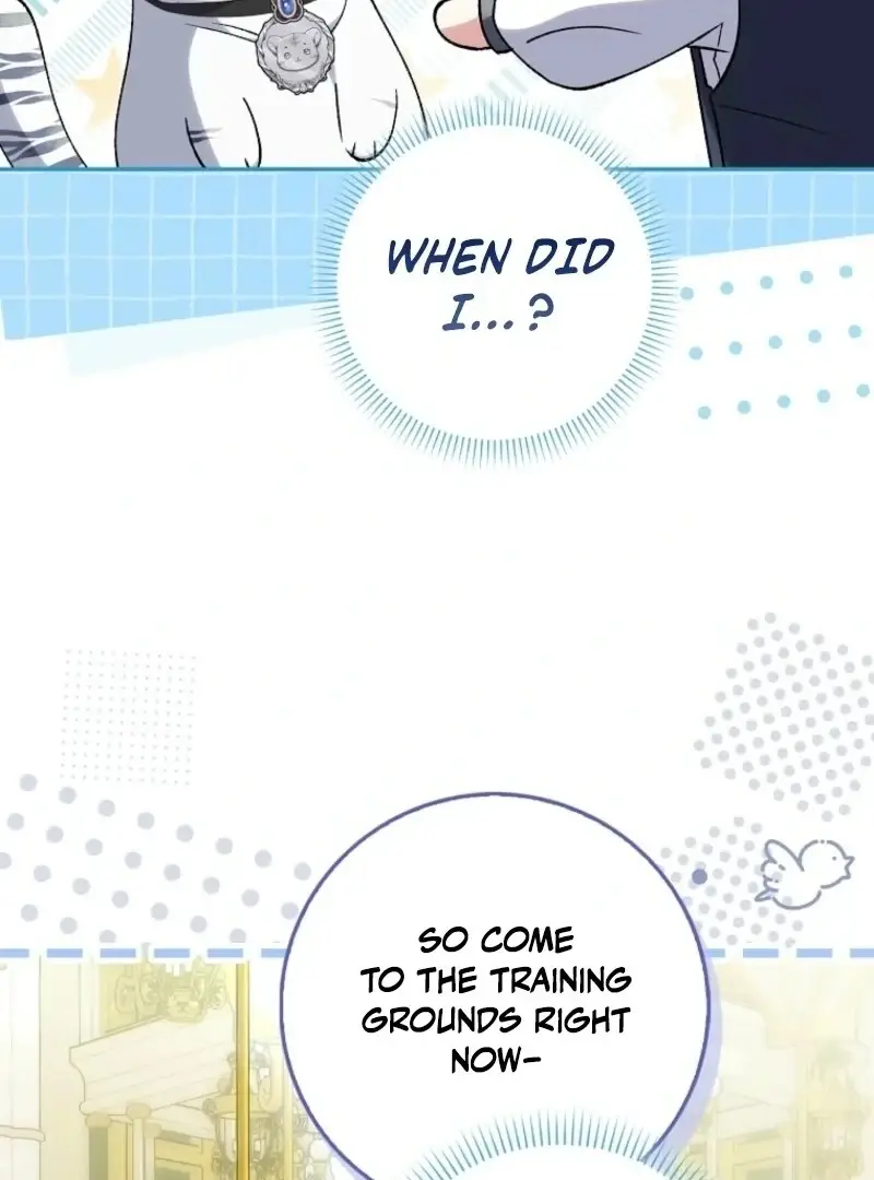 Image page 33