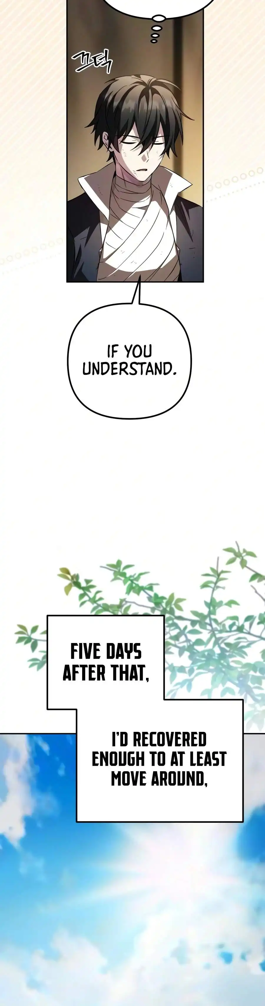 Image page 11