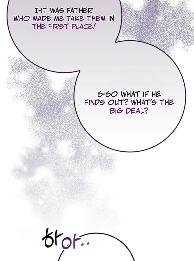 Image page 13