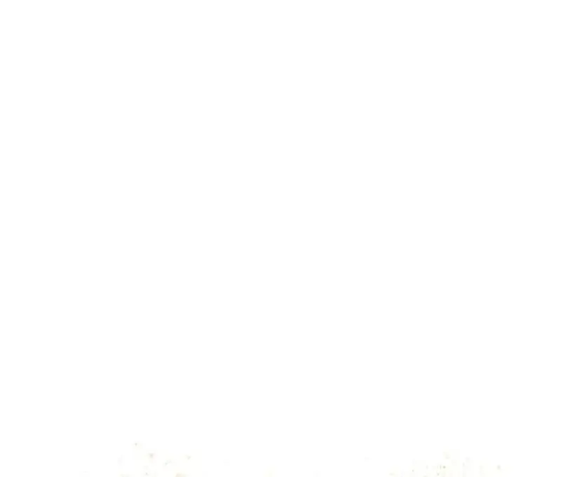 Image page 44