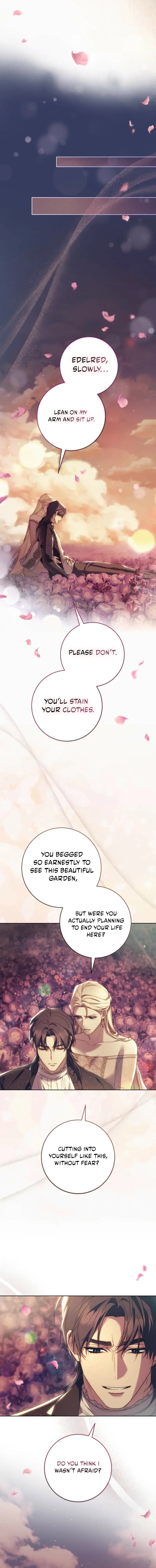 Image page 11