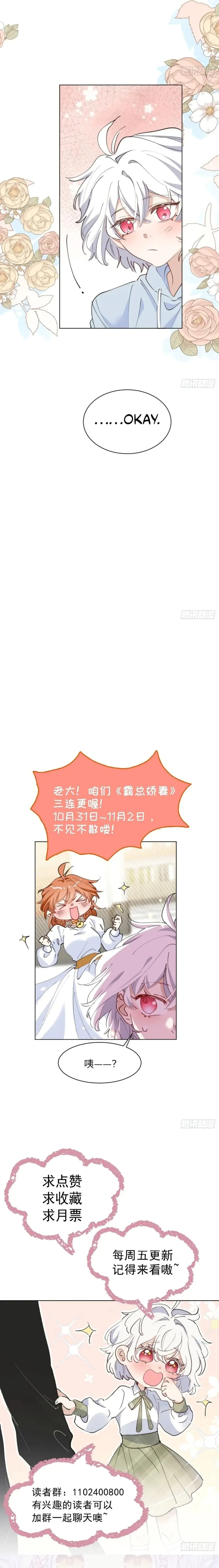 Image page 8