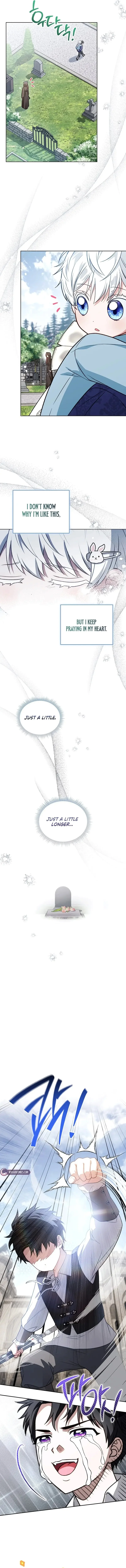 Image page 8