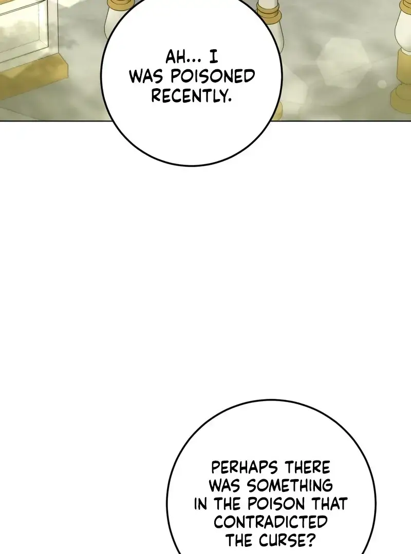 Image page 52