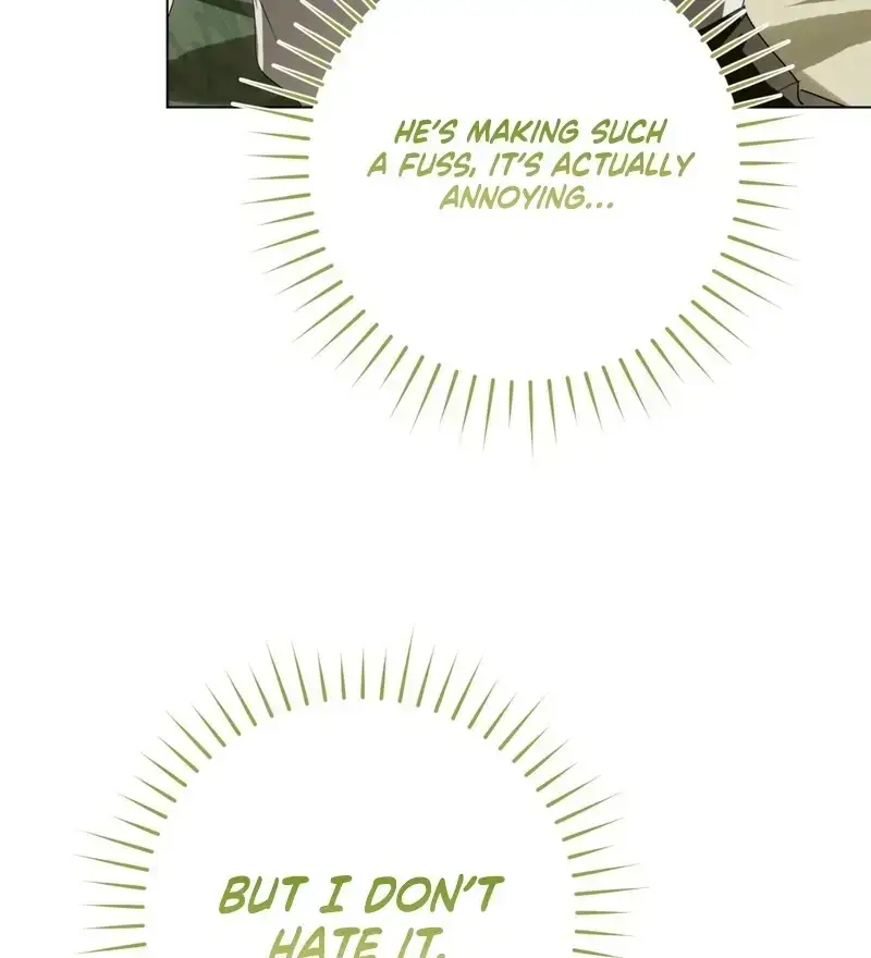 Image page 12
