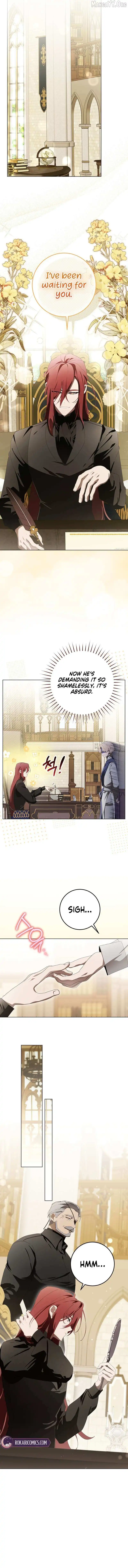 Image page 8