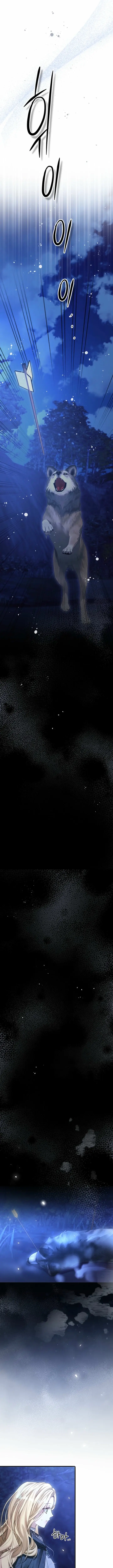 Image page 9