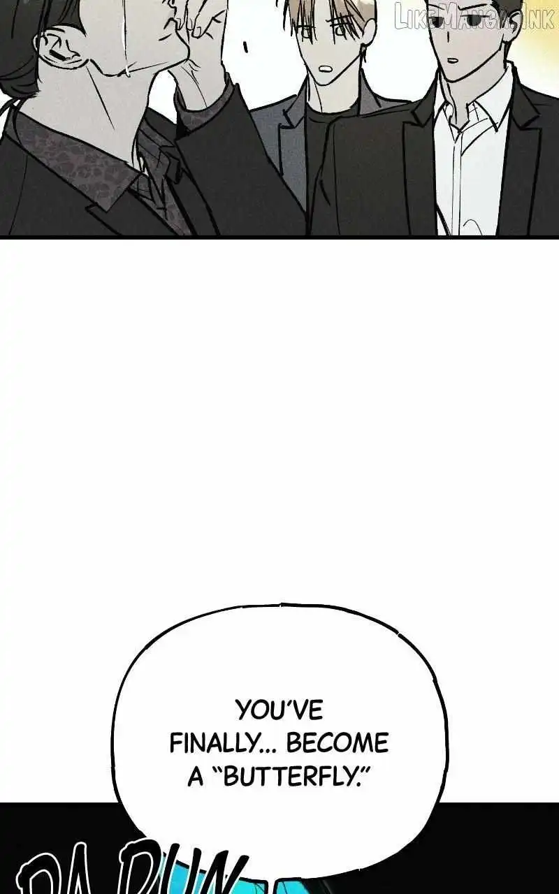 Image page 16