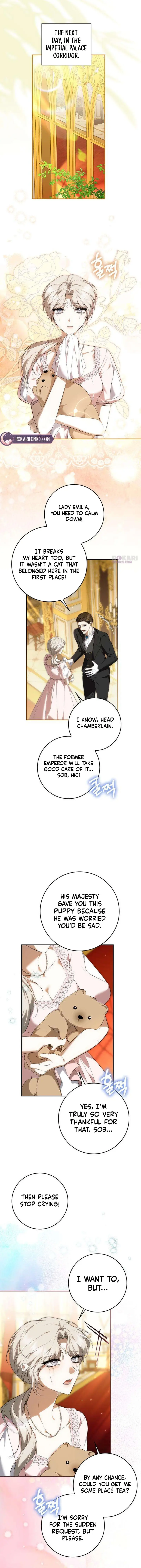 Image page 5