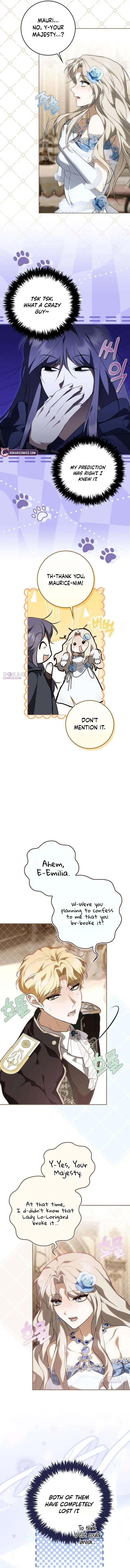 Image page 5