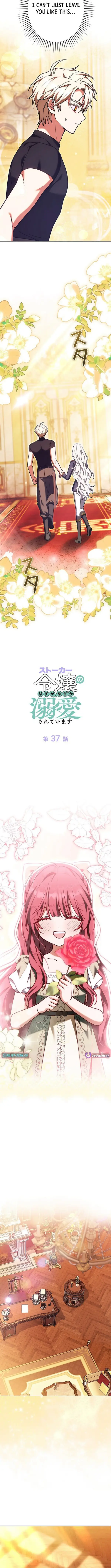 Image page 5