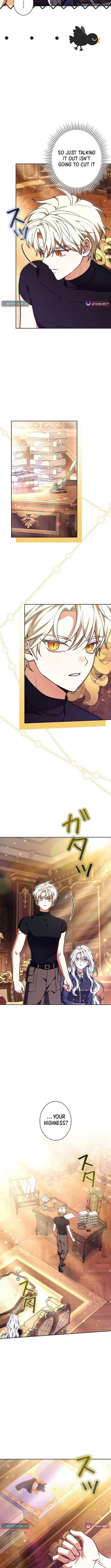 Image page 11