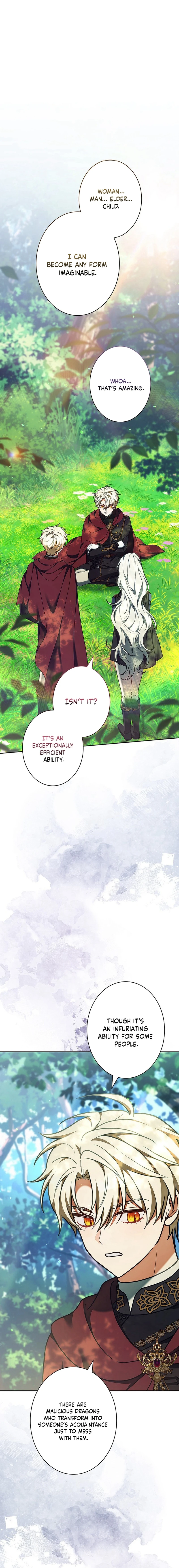 Image page 17
