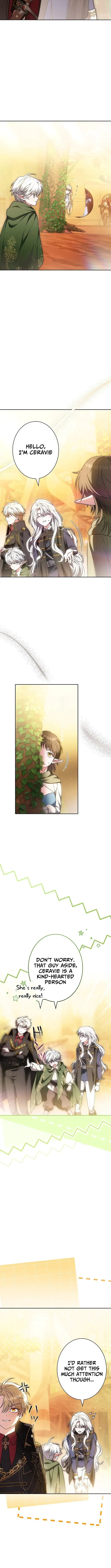 Image page 7