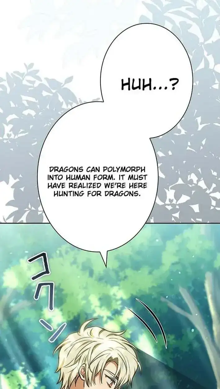 Image page 17