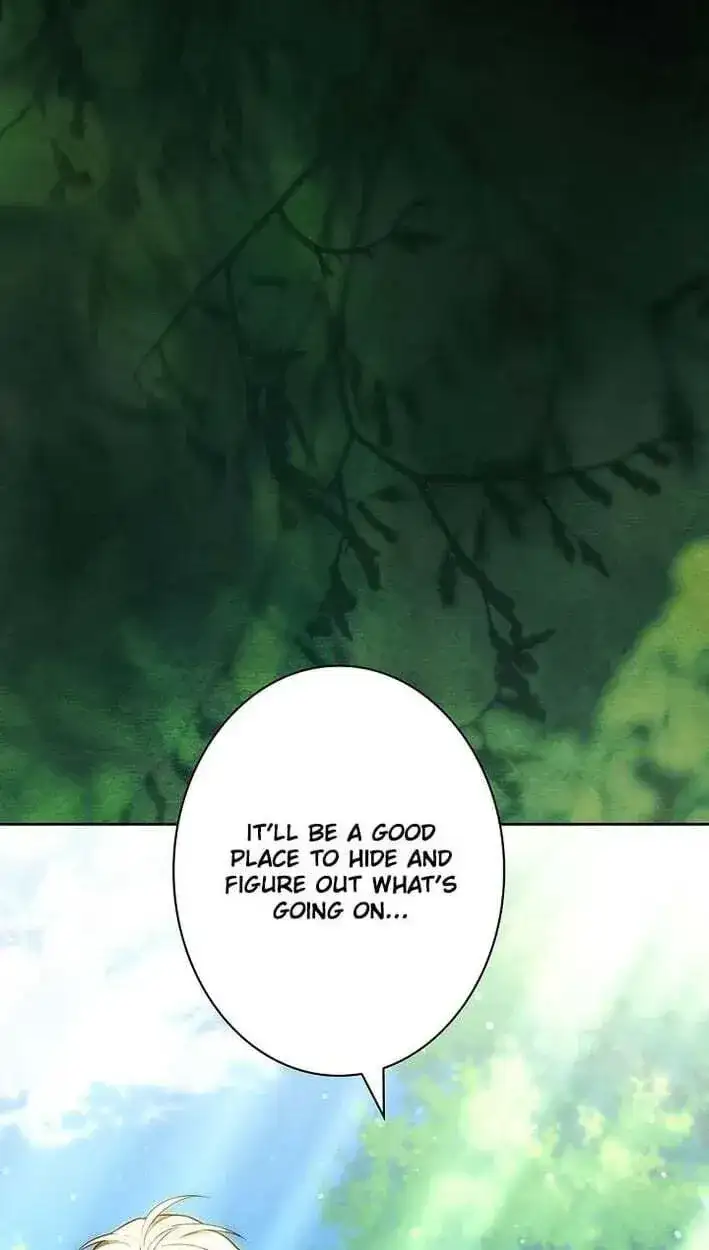 Image page 51