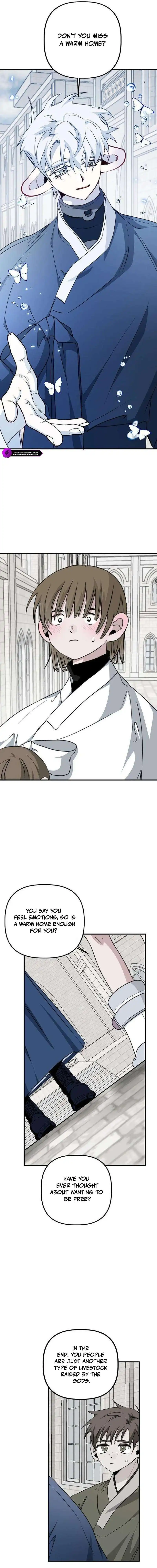 Image page 11