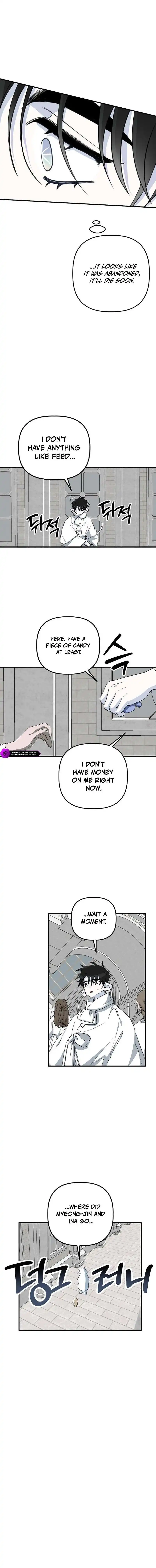 Image page 13