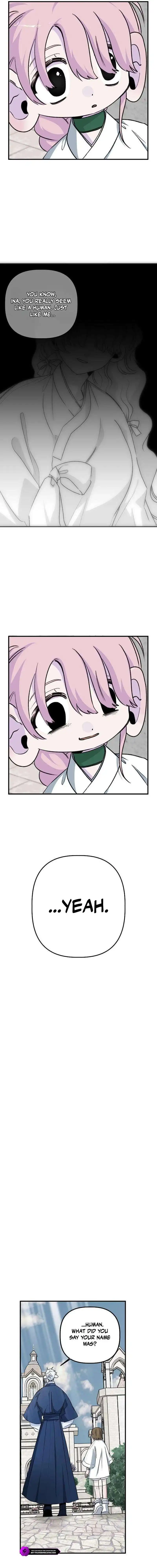 Image page 6