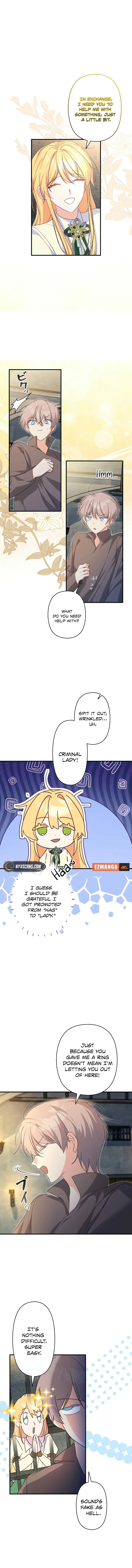 Image page 11