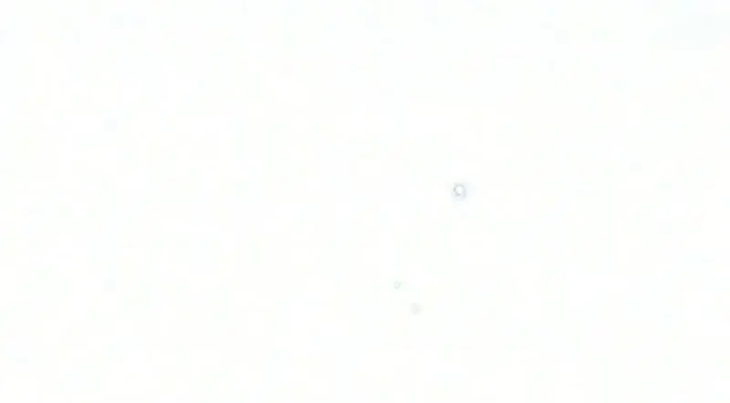 Image page 3