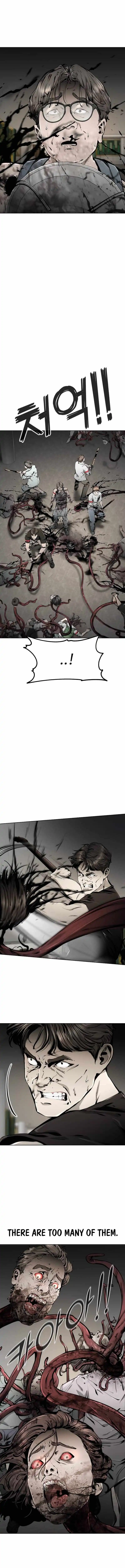 Image page 7