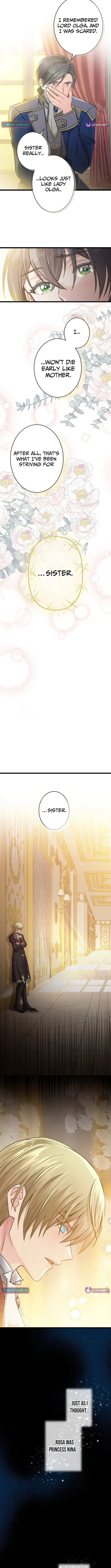 Image page 6