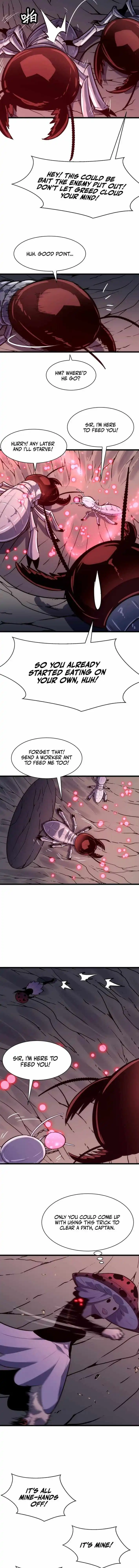Image page 7