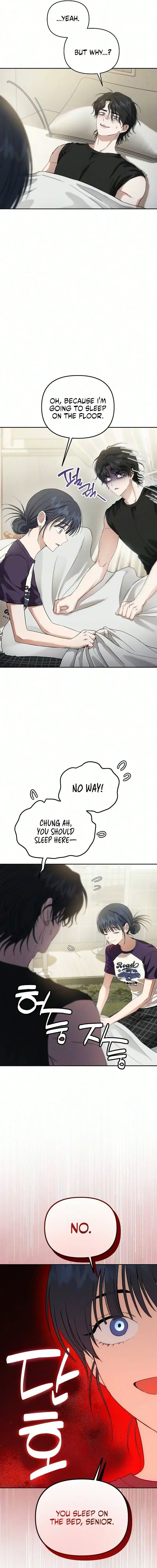 Image page 8