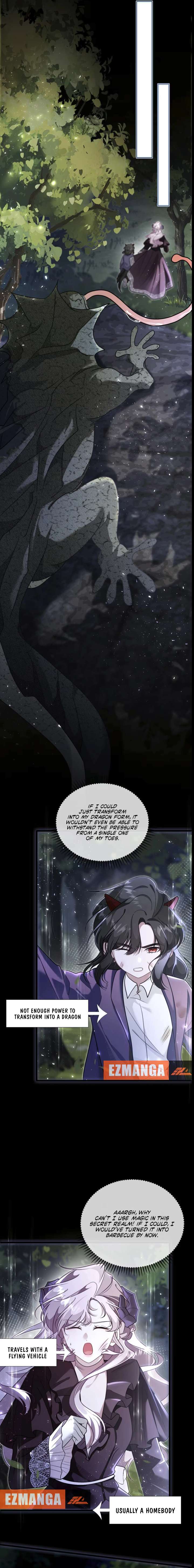 Image page 2